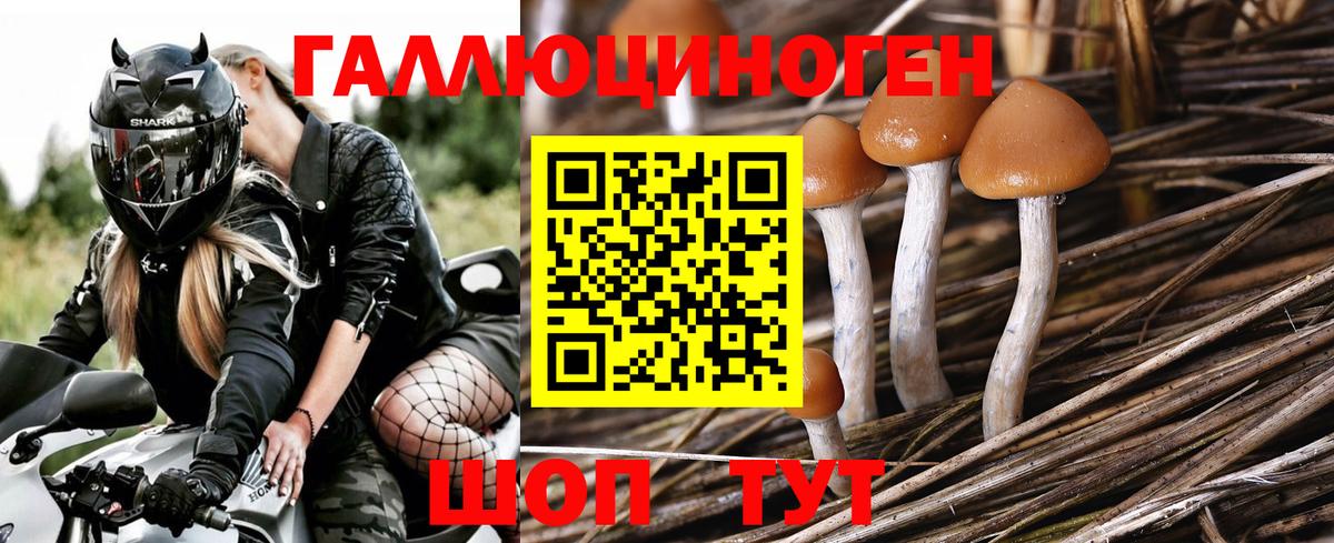 Красный Сулин  Галлюциногенные грибы MAGIC MUSHROOMS  Псилоцибиновые грибы Magic Shrooms  Вход с VPN 